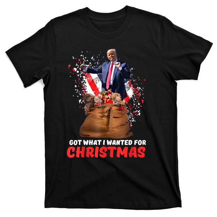 Got What I Wanted For Christmas Trump Won 2024 President T-Shirt