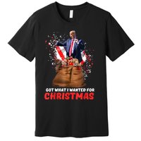 Got What I Wanted For Christmas Trump Won 2024 President Premium T-Shirt