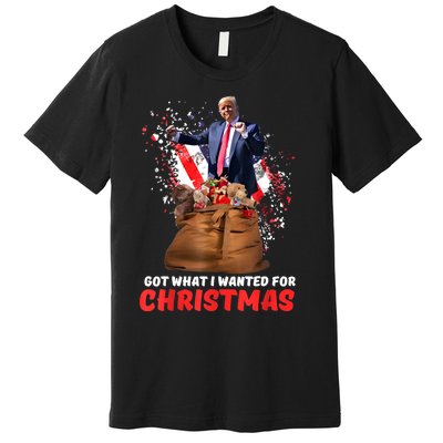 Got What I Wanted For Christmas Trump Won 2024 President Premium T-Shirt