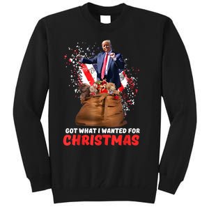 Got What I Wanted For Christmas Trump Won 2024 President Tall Sweatshirt