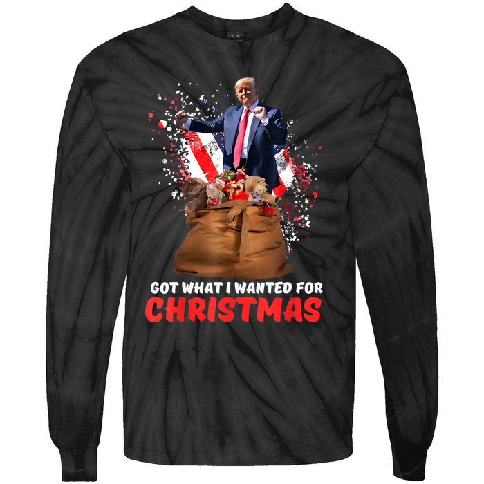 Got What I Wanted For Christmas Trump Won 2024 President Tie-Dye Long Sleeve Shirt