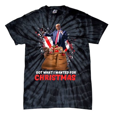 Got What I Wanted For Christmas Trump Won 2024 President Tie-Dye T-Shirt