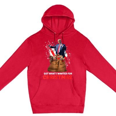 Got What I Wanted For Christmas Trump Won 2024 President Premium Pullover Hoodie