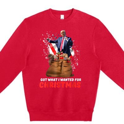 Got What I Wanted For Christmas Trump Won 2024 President Premium Crewneck Sweatshirt