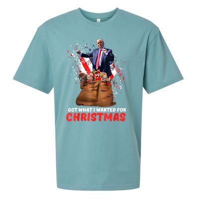 Got What I Wanted For Christmas Trump Won 2024 President Sueded Cloud Jersey T-Shirt