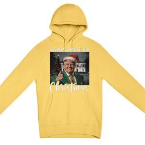 Got What I Wanted For Christmas Santa Trump Won 2024 Premium Pullover Hoodie