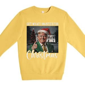 Got What I Wanted For Christmas Santa Trump Won 2024 Premium Crewneck Sweatshirt