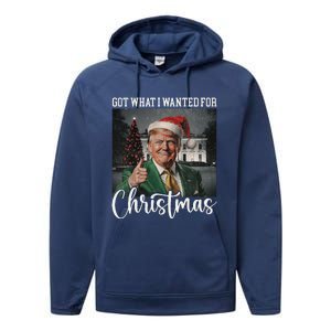 Got What I Wanted For Christmas Santa Trump Won 2024 Performance Fleece Hoodie