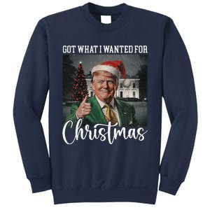 Got What I Wanted For Christmas Santa Trump Won 2024 Sweatshirt