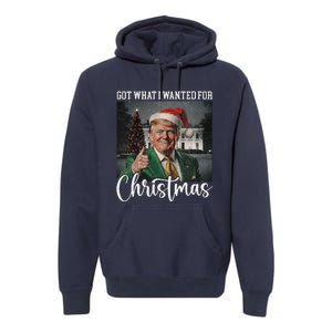 Got What I Wanted For Christmas Santa Trump Won 2024 Premium Hoodie