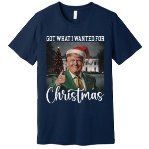 Got What I Wanted For Christmas Santa Trump Won 2024 Premium T-Shirt