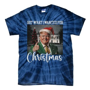 Got What I Wanted For Christmas Santa Trump Won 2024 Tie-Dye T-Shirt