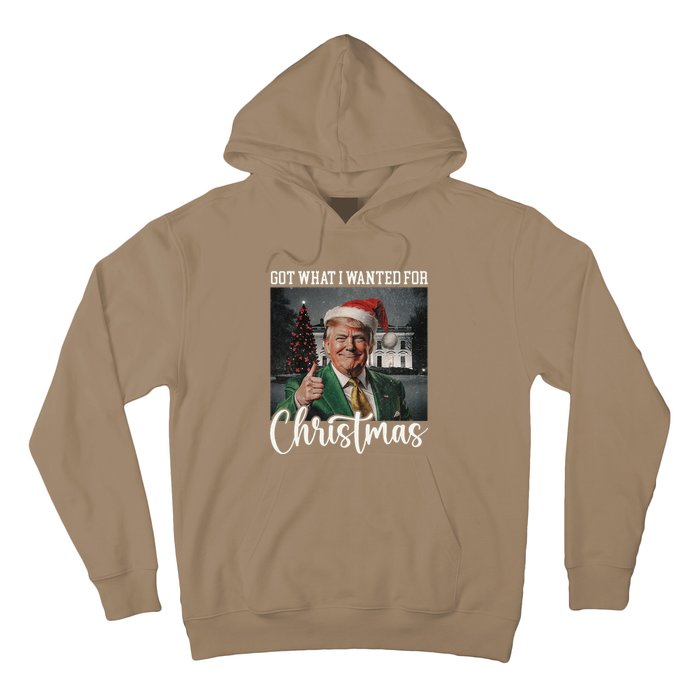 Got What I Wanted For Christmas Santa Trump Won 2024 Hoodie