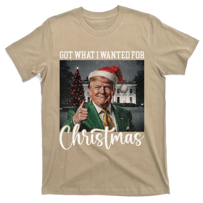 Got What I Wanted For Christmas Santa Trump Won 2024 T-Shirt