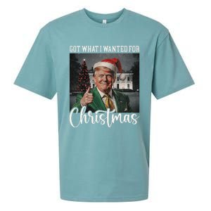 Got What I Wanted For Christmas Santa Trump Won 2024 Sueded Cloud Jersey T-Shirt