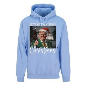 Got What I Wanted For Christmas Santa Trump Won 2024 Unisex Surf Hoodie