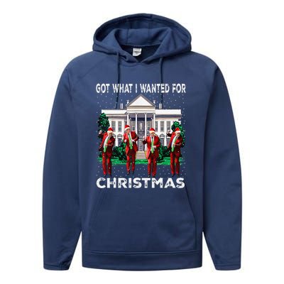 Got What I Wanted For Christmas Trump 2024 President Performance Fleece Hoodie