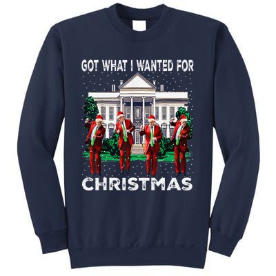 Got What I Wanted For Christmas Trump 2024 President Sweatshirt