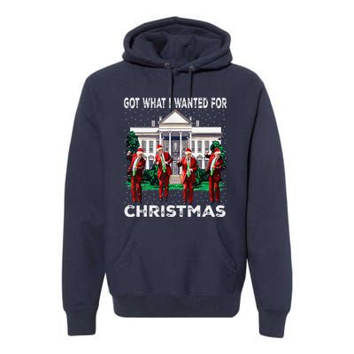 Got What I Wanted For Christmas Trump 2024 President Premium Hoodie