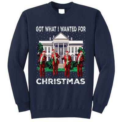 Got What I Wanted For Christmas Trump 2024 President Tall Sweatshirt