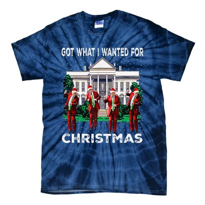 Got What I Wanted For Christmas Trump 2024 President Tie-Dye T-Shirt