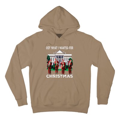 Got What I Wanted For Christmas Trump 2024 President Hoodie