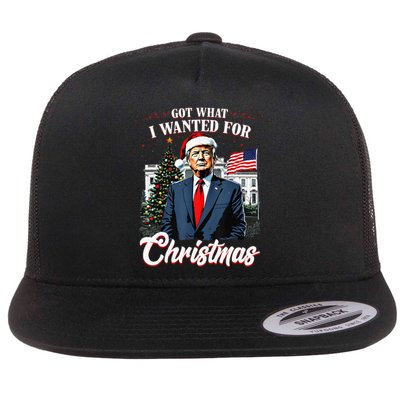 Got What I Wanted For Christmas Trump 2024 Flat Bill Trucker Hat