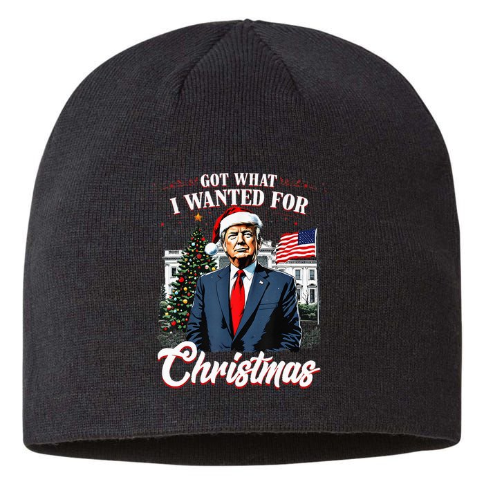 Got What I Wanted For Christmas Trump 2024 Sustainable Beanie