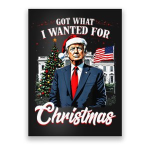 Got What I Wanted For Christmas Trump 2024 Poster