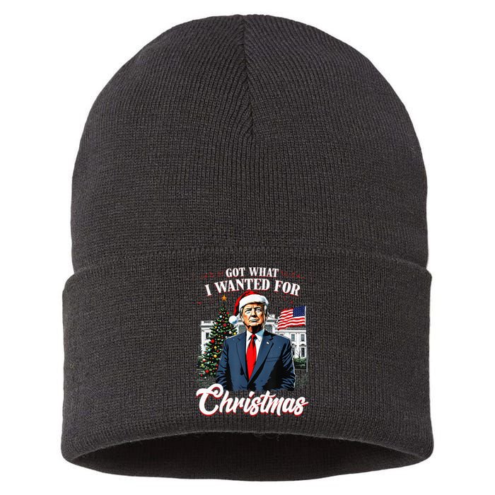 Got What I Wanted For Christmas Trump 2024 Sustainable Knit Beanie