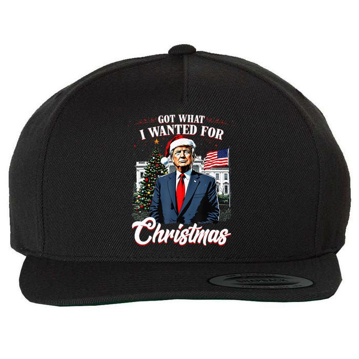 Got What I Wanted For Christmas Trump 2024 Wool Snapback Cap