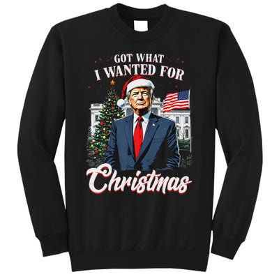 Got What I Wanted For Christmas Trump 2024 Sweatshirt