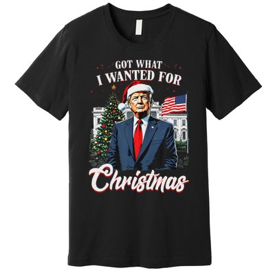 Got What I Wanted For Christmas Trump 2024 Premium T-Shirt