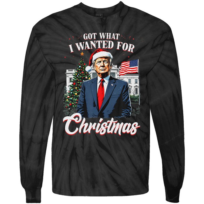 Got What I Wanted For Christmas Trump 2024 Tie-Dye Long Sleeve Shirt