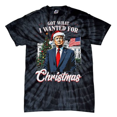 Got What I Wanted For Christmas Trump 2024 Tie-Dye T-Shirt