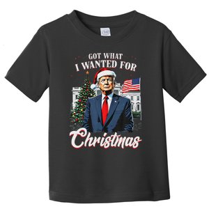 Got What I Wanted For Christmas Trump 2024 Toddler T-Shirt