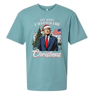 Got What I Wanted For Christmas Trump 2024 Sueded Cloud Jersey T-Shirt