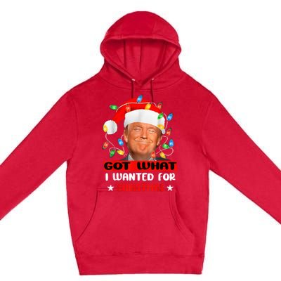 Got What I Wanted For Christmas Trump Xmas Pajamas 2024 Premium Pullover Hoodie