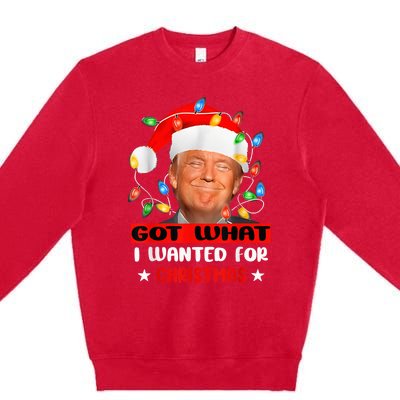 Got What I Wanted For Christmas Trump Xmas Pajamas 2024 Premium Crewneck Sweatshirt