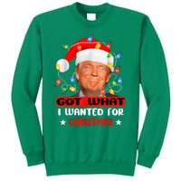 Got What I Wanted For Christmas Trump Xmas Pajamas 2024 Sweatshirt