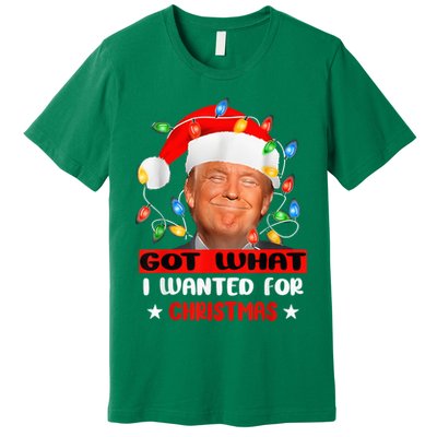 Got What I Wanted For Christmas Trump Xmas Pajamas 2024 Premium T-Shirt