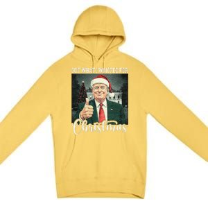 Got What I Wanted For Christmas Santa Trump Won 2024 Premium Pullover Hoodie