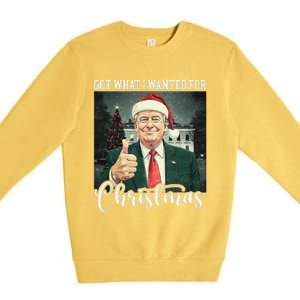 Got What I Wanted For Christmas Santa Trump Won 2024 Premium Crewneck Sweatshirt