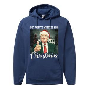 Got What I Wanted For Christmas Santa Trump Won 2024 Performance Fleece Hoodie