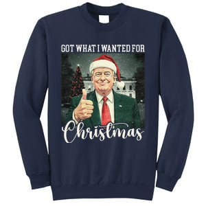 Got What I Wanted For Christmas Santa Trump Won 2024 Sweatshirt