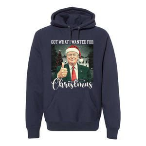 Got What I Wanted For Christmas Santa Trump Won 2024 Premium Hoodie