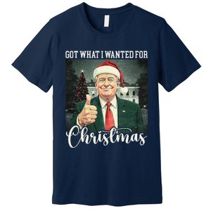 Got What I Wanted For Christmas Santa Trump Won 2024 Premium T-Shirt