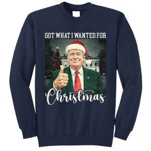 Got What I Wanted For Christmas Santa Trump Won 2024 Tall Sweatshirt