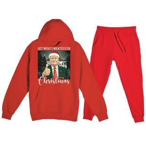 Got What I Wanted For Christmas Santa Trump Won 2024 Premium Hooded Sweatsuit Set