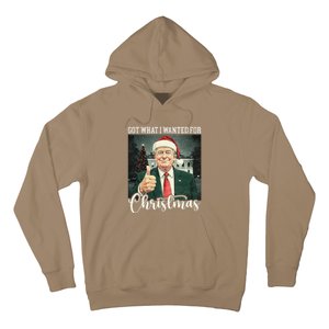 Got What I Wanted For Christmas Santa Trump Won 2024 Hoodie